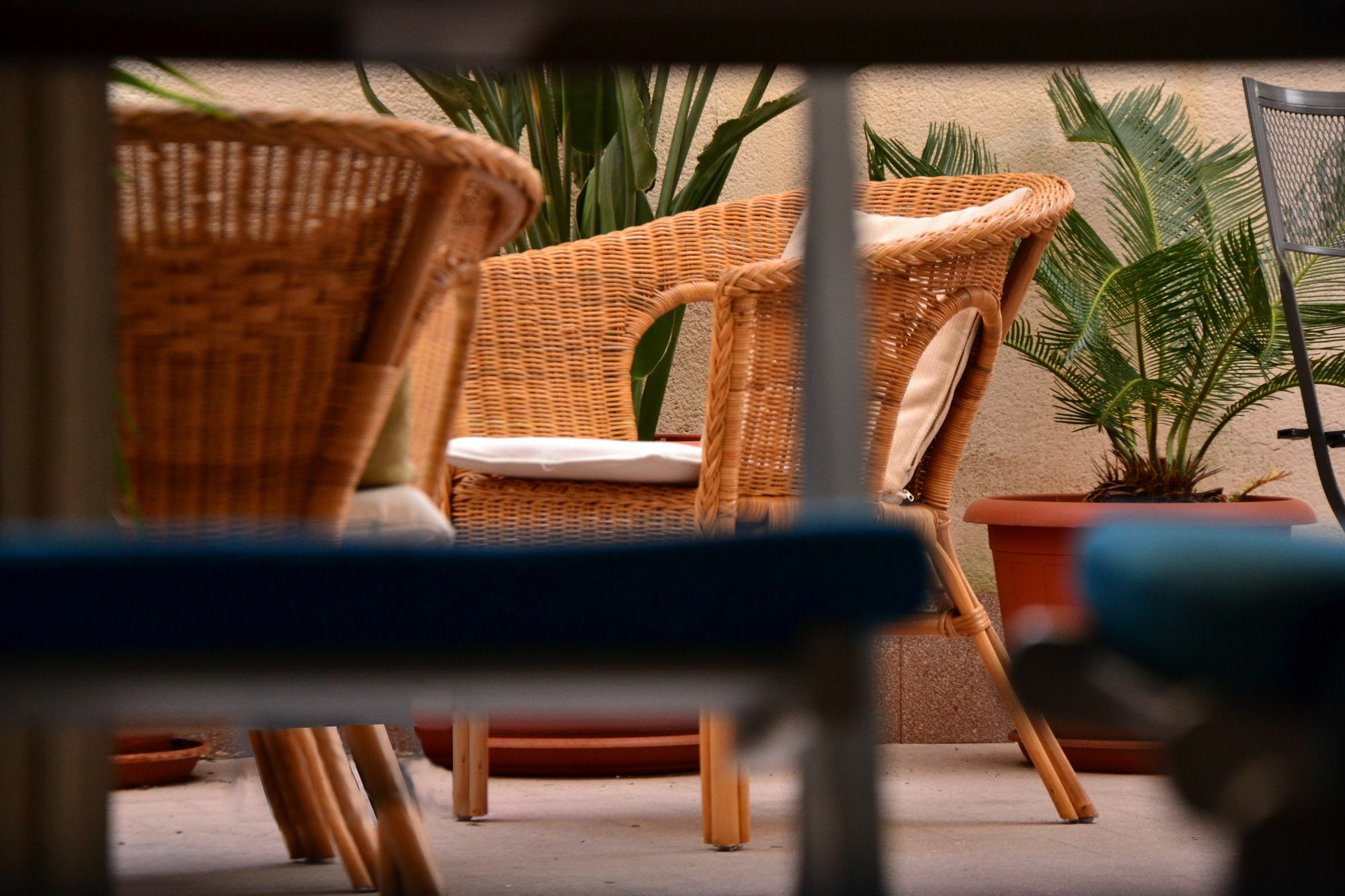 Il Lapino Hotel Palermo Bagian luar foto